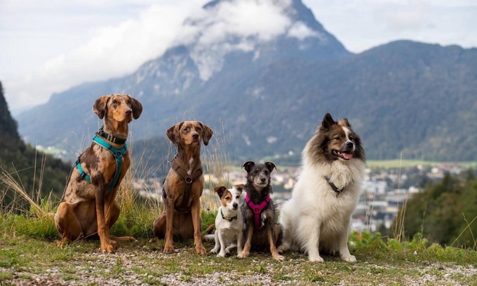 Kiefersfelden House | Ferienhaus Kaiserblick 125 qm für Max. 6 Personen und 3 Hunde