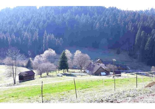 Kalberbronn House | Ferienhaus Schwarzwald Seewald Erzgrube Badesee 100% Natur