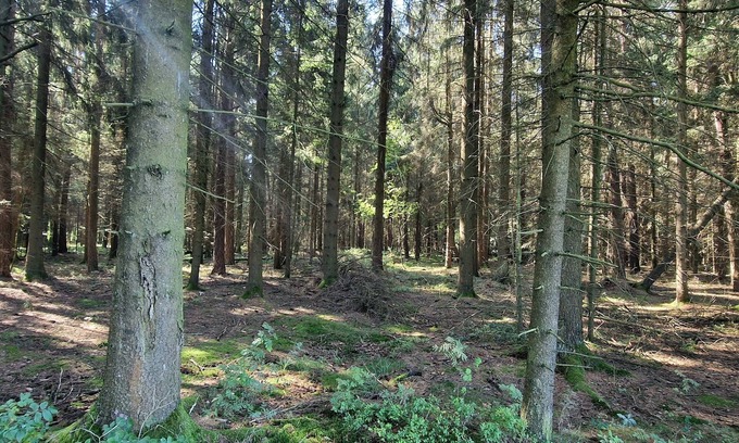 Pullenreuth Apartment | Ferienwohnung am Steinwald Radweg