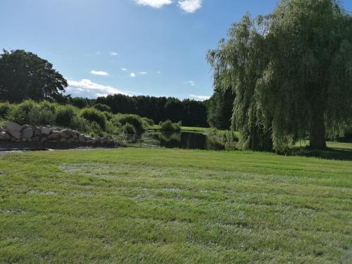 Wietzetze Apartment | Ferienwohnung am Teich