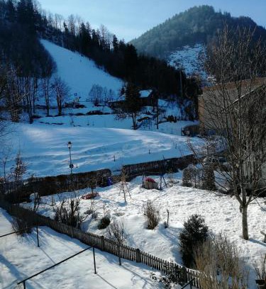 Immenstadt im Allgaeu Apartment | Ferienwohnung ELSA