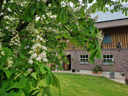 Herlazhofen Apartment | Ferienwohnung Ewigkeit - 4-Sterne DTV klassifiziert