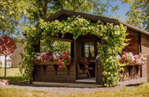 Eggolsheim Apartment | Ferienwohnung Erlwein