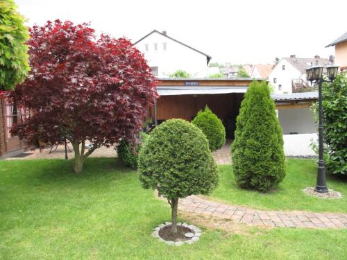 Hamelin Apartment | Ferienwohnung in Hameln am Wald