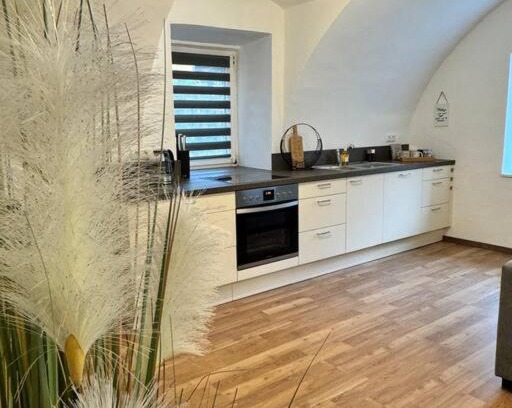 Mixnitz Apartment | Ferienwohnung in Mixnitz-Bärenschützklamm 2