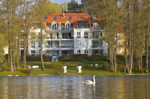 Bad Saarow Apartment | Ferienwohnung Katja in der Villa Seeblick