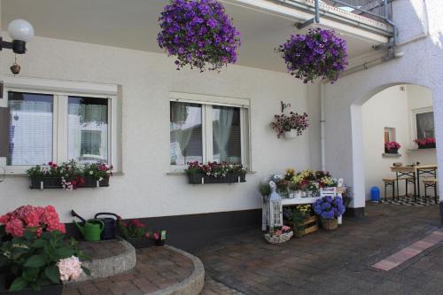 Hillscheid Apartment | Ferienwohnung -kiefer