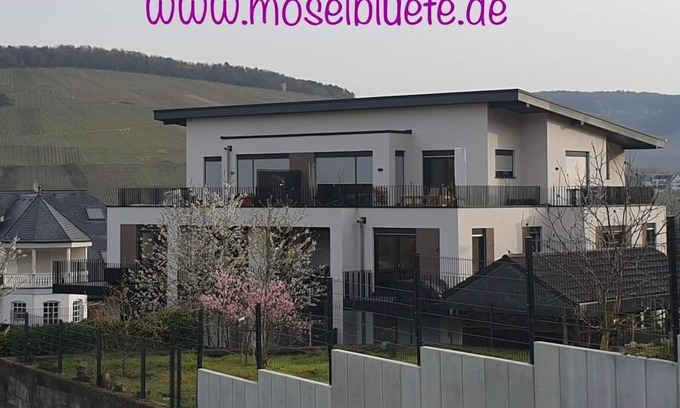 Andel Apartment | Ferienwohnung Moselblüte