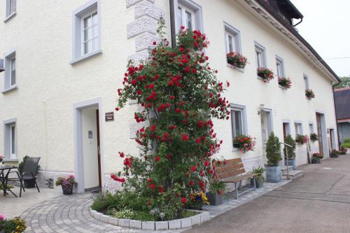 Ewattingen Apartment | Ferienwohnung Thoma