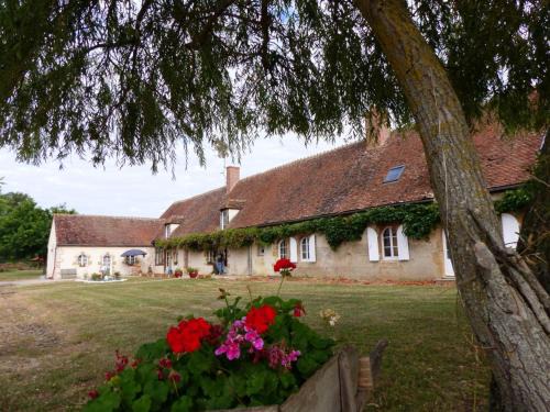 Lurcy-Levis House | Ferme restaurée 19ème siècle, gîte indépendant avec étang, proche du circuit de Lurcy-Lévis - FR-1-489-392