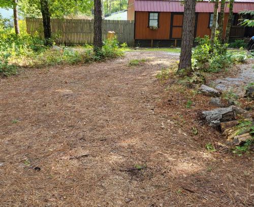 Conway Other | Fern Gully cabin