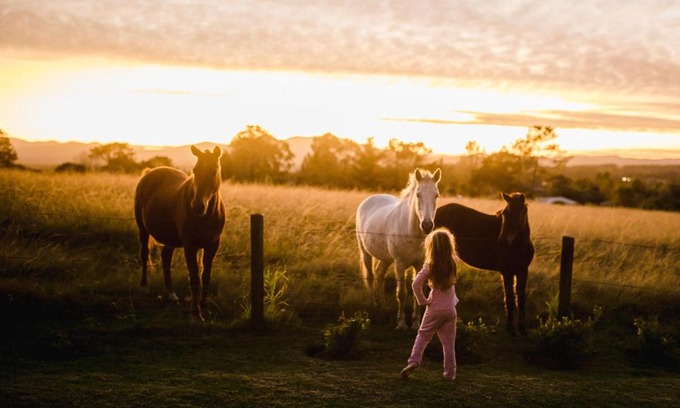 Rheenendal House | Fernhill Guest Farm