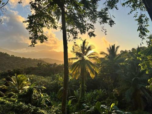 Pitahaya House | Finca De Jungla RainForest Retreat