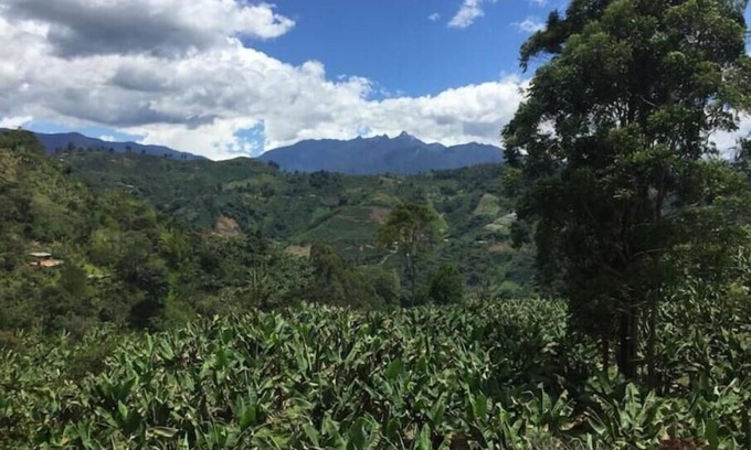 Jardin Other | Finca La Arabia Eco Cabaña ~Organic Coffee Farm