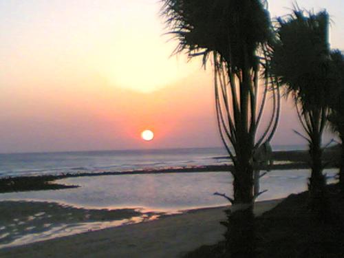 El Palmar Villa | Finca Malyma with 2 villas and 1 apartment, beach front 10,000m2 botanic garden