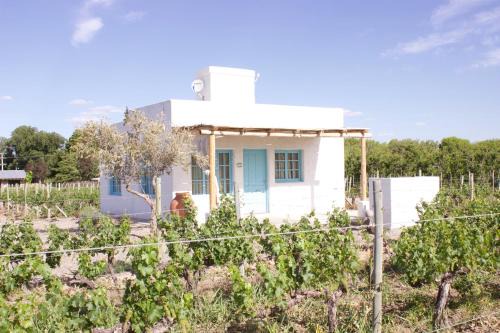 Vista Flores Cabin | Finca Rosablanca