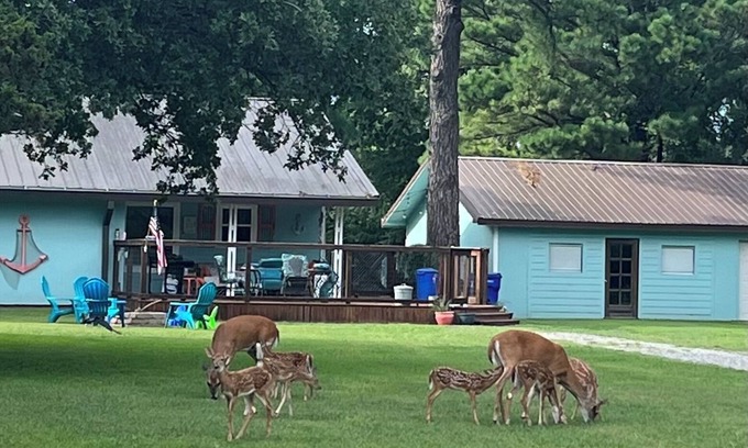 Mead House | fishing ~ plenty of parking ~ 1/2 mile to marina ~ 5 min to new WestBay casino