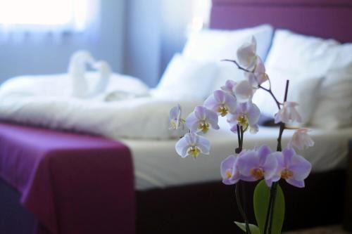 Ajka Bed & Breakfast | Fitromax Ajka