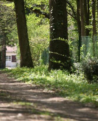 Neuille-le-Lierre Apartment | Fleurs de Brenne Gite