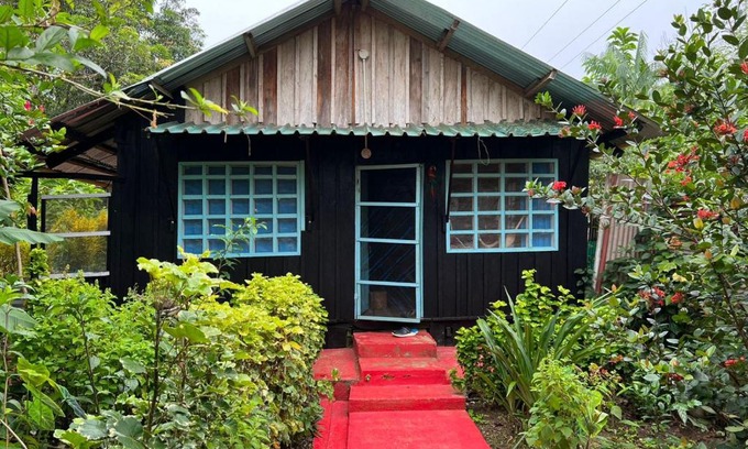 Puerto Narino House | Flor de la selva