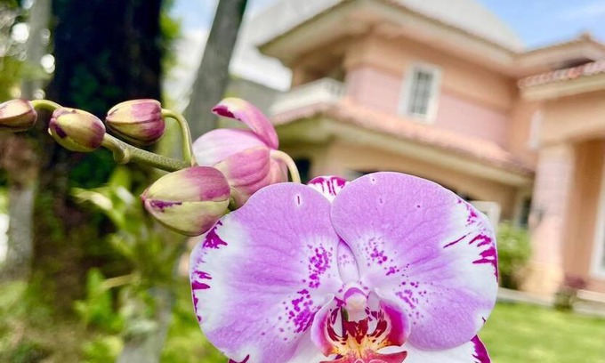 Citaringgul Villa | Flower House Villa