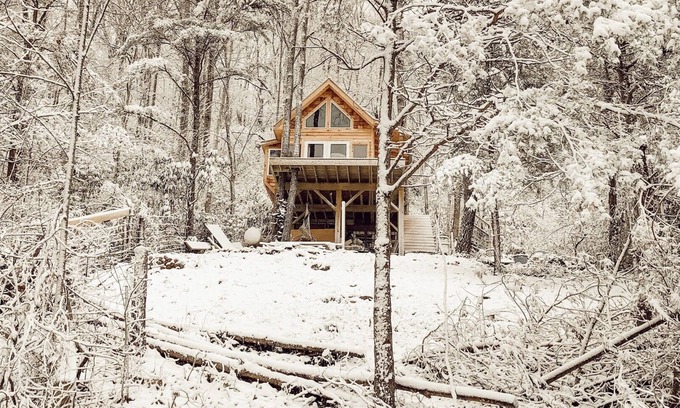 Canton House | Flowertown Charm Off-Grid Treehouse w/Highland Cows