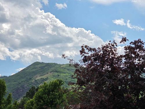 Littleton House | Foothills Valley Retreat - Read Details
