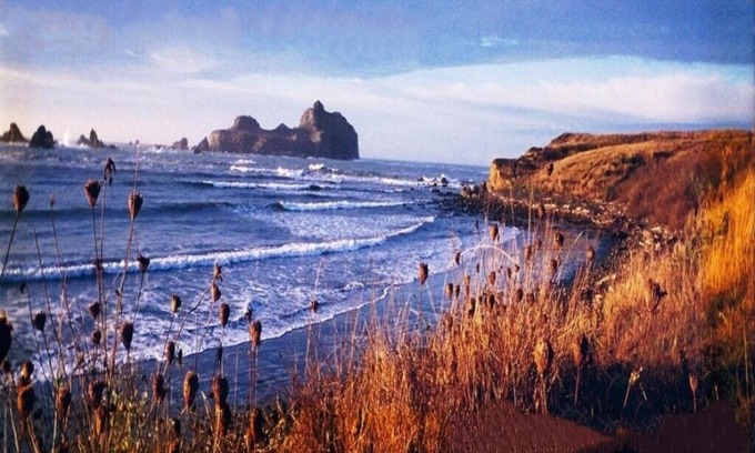 Crescent City North House | Footsteps to Pebble Beach & Short Drive to Redwoods