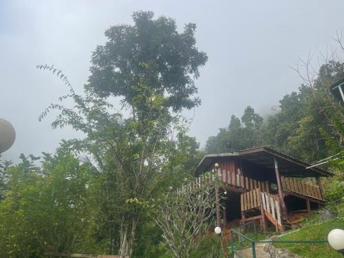 Samoeng Resort | Forest Guesthouse