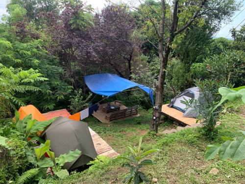 Tsikhisdziri Other | Forest & Sea Campsite