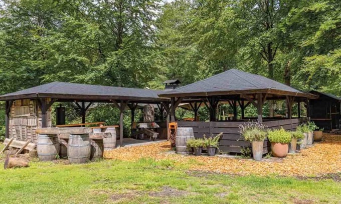 Wolfheze House | Forest-Side Room – Nestled Among Trees with Easy Access to Trails & Wellness