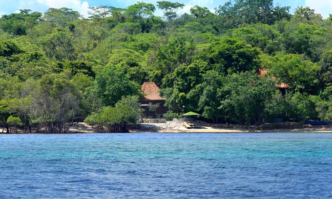 Pejarakan Villa | Forest Villa @ West Bali National Park