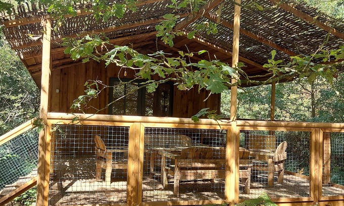 Saint-Pierre-des-Echaubrognes Cabin | Cap Town cabin in the forest
