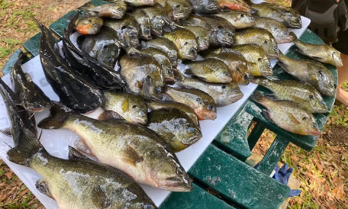 Satsuma House | FREE Boat to use - Fish from the TIKI outback - Dock your boat on canal- Pets OK