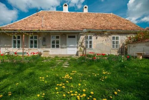 Fagaras Hostel | Gästehaus Fogarasch