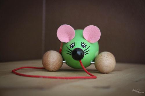 Molamboz House | Gîte De La Souris Verte