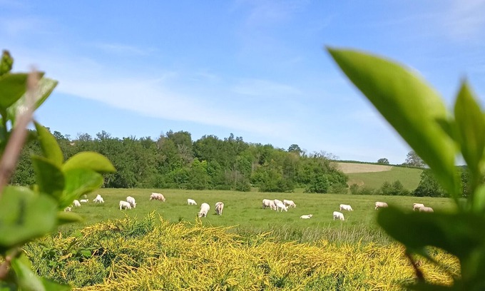 Cormatin Apartment | Gîte des Palmiers, à Ameugny - Taizé
