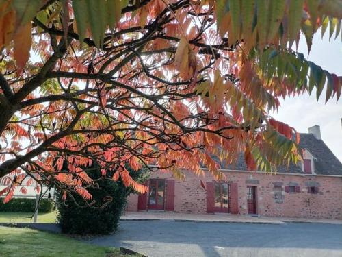 Moitron-sur-Sarthe House | Gîte en campagne rénové avec cheminée, grands jardins, WiFi, près d'un village médiéval. - FR-1-410-334