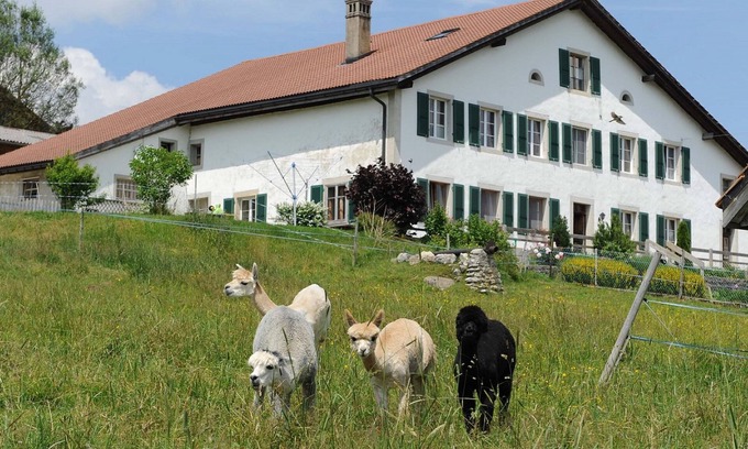 Muriaux Apartment | Gîte - Ferme O'Clés by Interhome