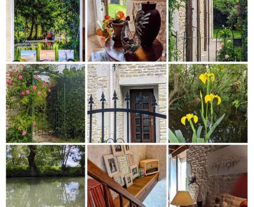 Maille House | Gîte La Cibulle