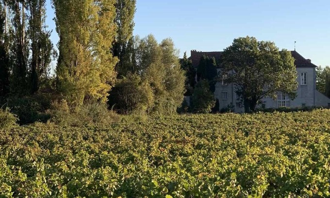 Vougeot House | Gîtes bo Maisonnette de charme - View Clos Vougeot castle