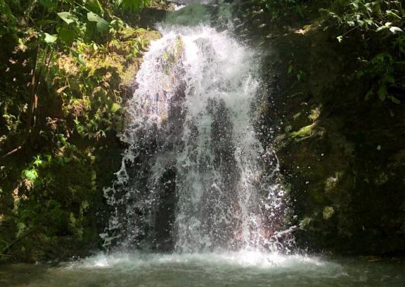 Surubres House | G.nature preserve