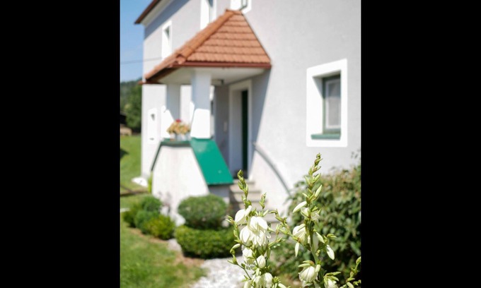 Fohnsdorf Condo | Garconniere Erdgeschoss in Sillweg