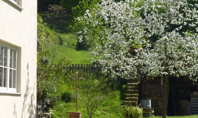 Urbar Apartment | Garden paradise in the Middle Rhine Valley - roses, herbs, estate and garden