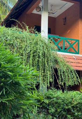 Kumarakom House | Garggi Kumarakom Village Homestay