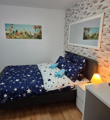 Emanoil Gojdu Apartment | Garsoniera Saturn