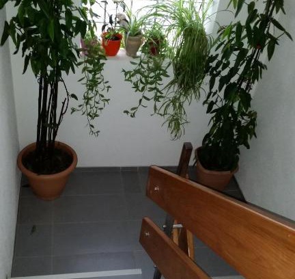 Bissingen an der Teck Hotel | Gasthof Rössle Ochsenwang