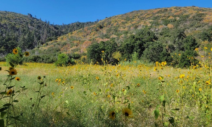 Lake Hughes House | Gather your party for an escape with amazing views, situated on 100+ acres.