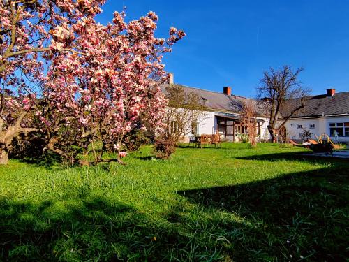 Payerbach Apartment | Gemütliche Landhauswohnung