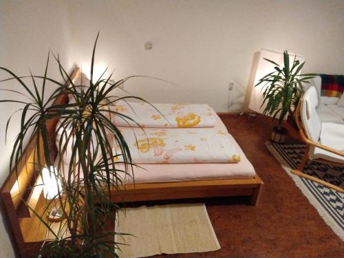 Lohmen House | Gemütliches Apartment In Lohmen